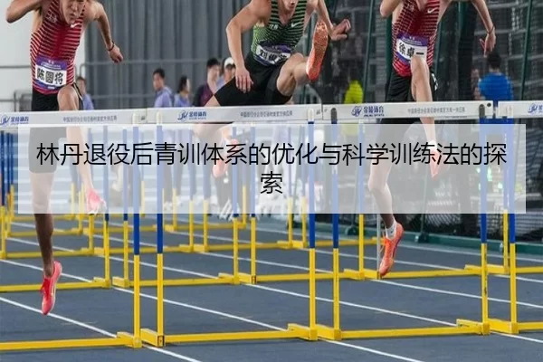 林丹退役后青训体系的优化与科学训练法的探索